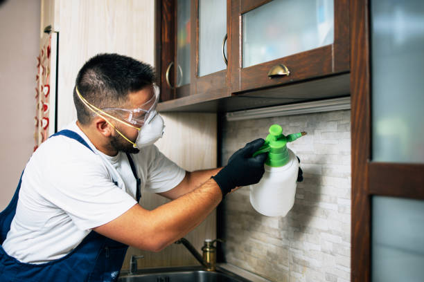 Best Pest Prevention Services  in Barrett, TX