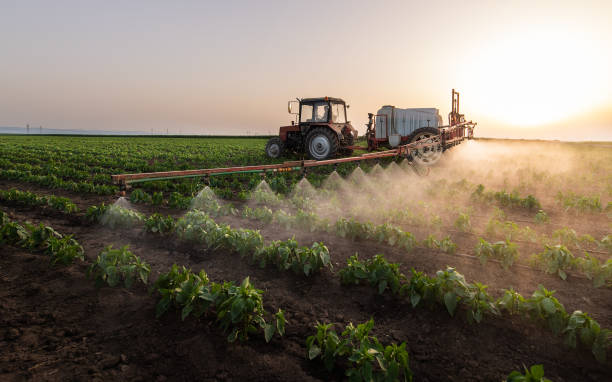 Best Cockroach Control Services  in Barrett, TX