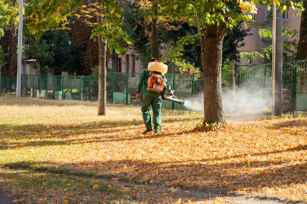 Best Local Pest Control Services  in Barrett, TX
