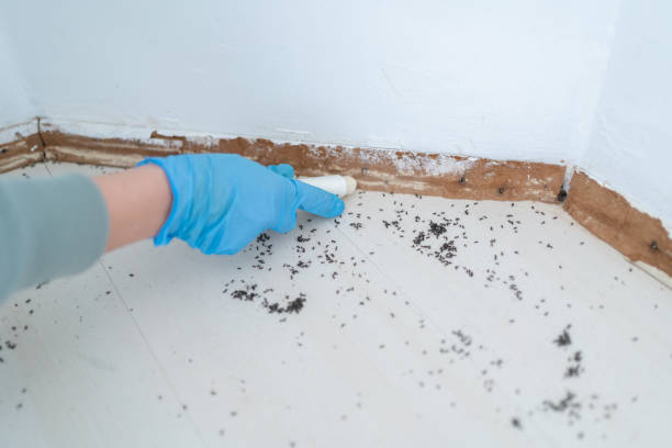 Best Affordable Pest Control Services  in Barrett, TX